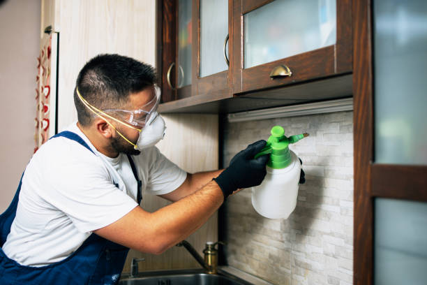 Best Wasp Removal Services  in Lake Park, FL