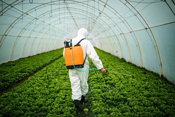 Best Local Pest Control Services  in Lake Park, FL
