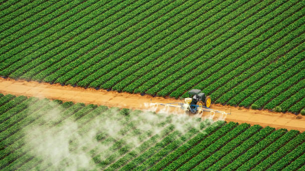 Best Pest Removal Services  in Lake Park, FL