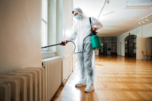 Flea Control Services in Lake Park, FL
