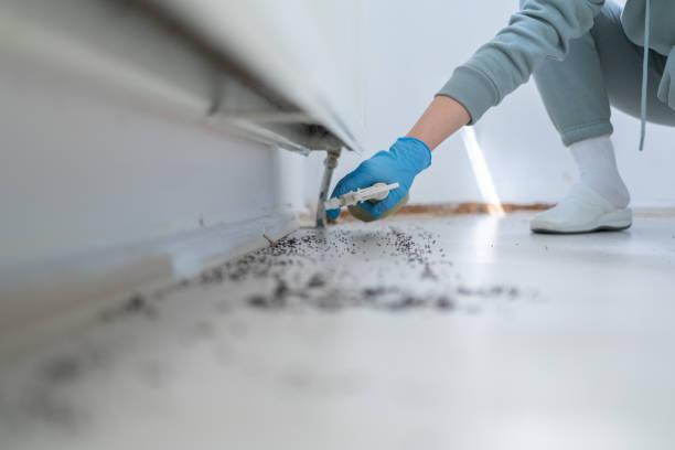 Best Spider Control Near Me  in Lake Park, FL